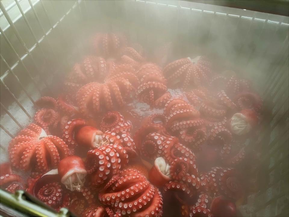 ・真タコは蒸し上げ　真タコ本来のうま味を凝縮させるために、高温の蒸気で蒸し時間や温度を　調整しながら、香りが引き立つ柔らかい食感に仕上げます。・水タコ・やなぎタコは釜茹で　水分の多い水タコ・やなぎタコは、茹でた時に出る「タコのうま味」たっぷりの煮汁と　一緒にゆで上げることで、甘味のある風味豊かな、みずみずしい、やわらかな食感に　仕上げます。